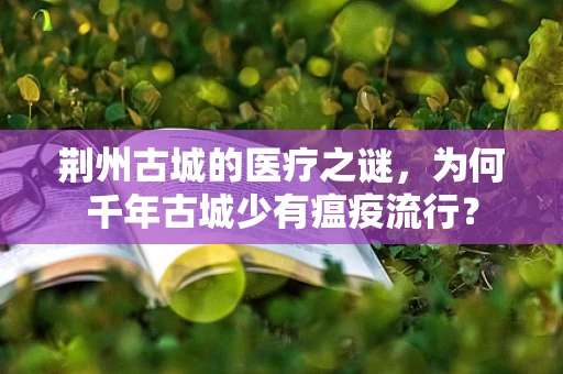 荆州古城的医疗之谜，为何千年古城少有瘟疫流行？
