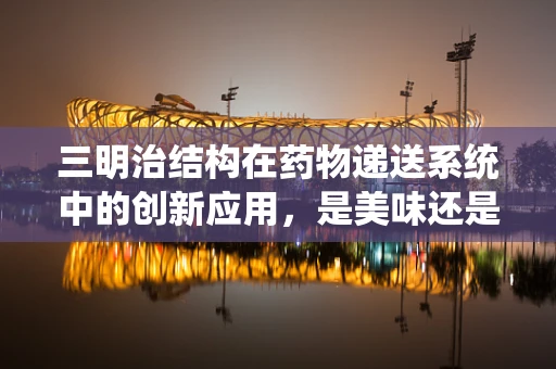 三明治结构在药物递送系统中的创新应用，是美味还是疗效？