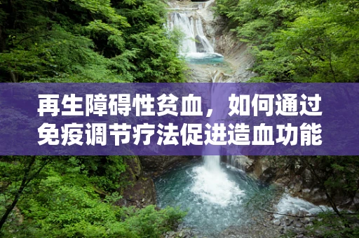 再生障碍性贫血，如何通过免疫调节疗法促进造血功能恢复？