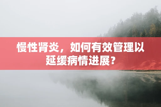 慢性肾炎，如何有效管理以延缓病情进展？
