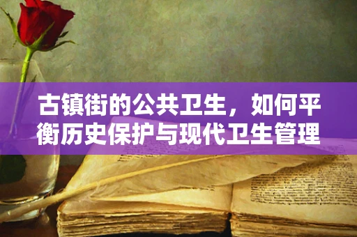 古镇街的公共卫生，如何平衡历史保护与现代卫生管理？