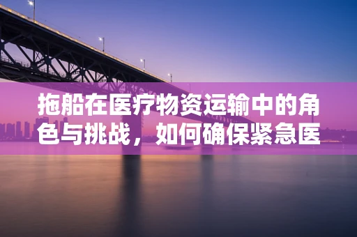 拖船在医疗物资运输中的角色与挑战，如何确保紧急医疗物资的安全送达？