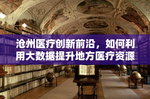 沧州医疗创新前沿，如何利用大数据提升地方医疗资源分配效率？
