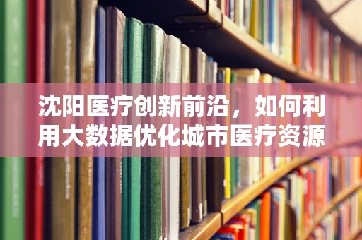 沈阳医疗创新前沿，如何利用大数据优化城市医疗资源配置？