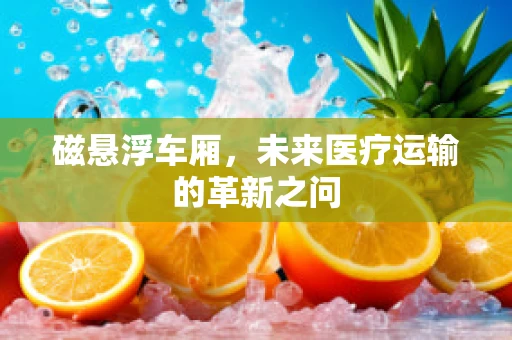 磁悬浮车厢，未来医疗运输的革新之问