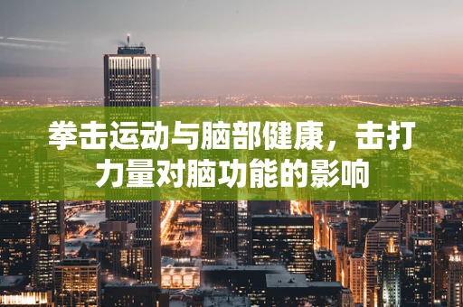 拳击运动与脑部健康，击打力量对脑功能的影响