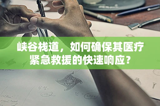 峡谷栈道，如何确保其医疗紧急救援的快速响应？