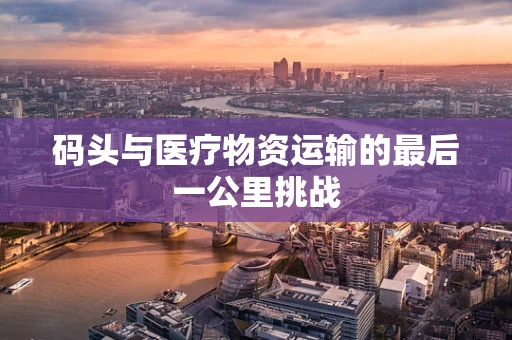 码头与医疗物资运输的最后一公里挑战