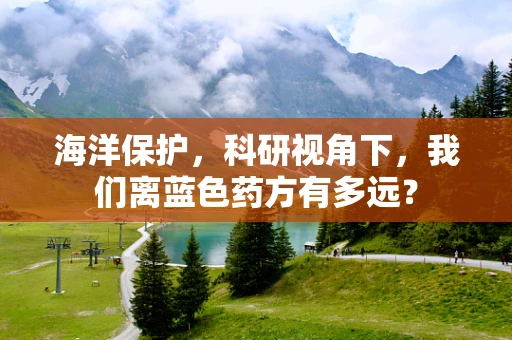 海洋保护，科研视角下，我们离蓝色药方有多远？
