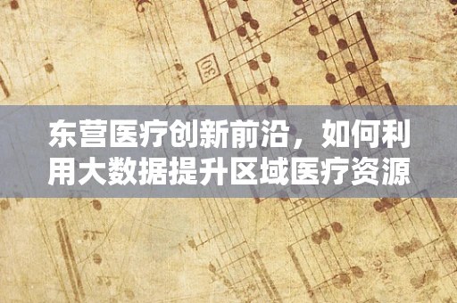 东营医疗创新前沿，如何利用大数据提升区域医疗资源分配效率？