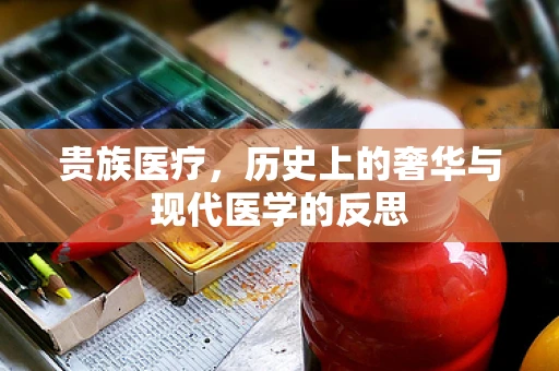 贵族医疗，历史上的奢华与现代医学的反思