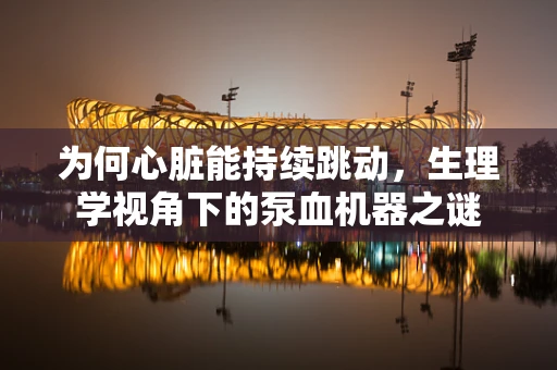 为何心脏能持续跳动，生理学视角下的泵血机器之谜