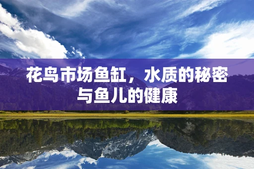 花鸟市场鱼缸，水质的秘密与鱼儿的健康