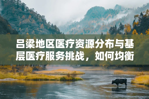 吕梁地区医疗资源分布与基层医疗服务挑战，如何均衡发展？