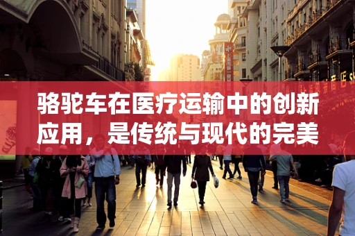 骆驼车在医疗运输中的创新应用，是传统与现代的完美结合吗？