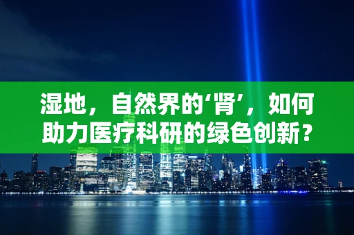 湿地，自然界的‘肾’，如何助力医疗科研的绿色创新？