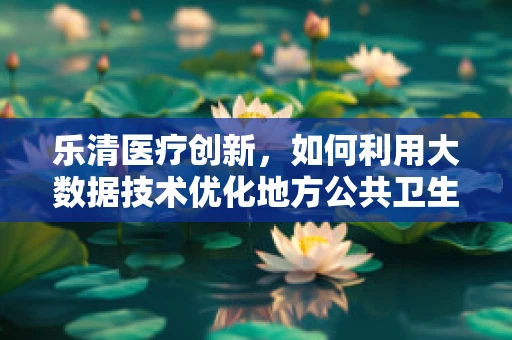 乐清医疗创新，如何利用大数据技术优化地方公共卫生服务？