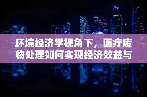 环境经济学视角下，医疗废物处理如何实现经济效益与环境保护的双赢？