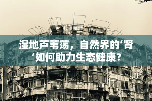 湿地芦苇荡，自然界的‘肾’如何助力生态健康？