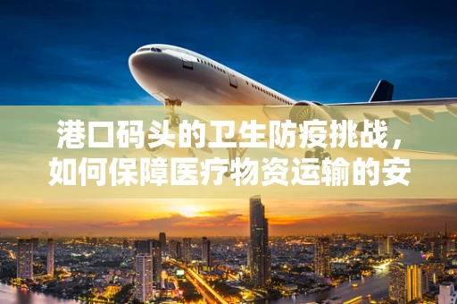 港口码头的卫生防疫挑战，如何保障医疗物资运输的安全？