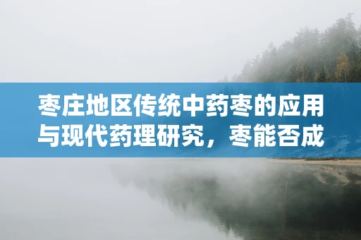 枣庄地区传统中药枣的应用与现代药理研究，枣能否成为防治地方性健康问题的新枣药？