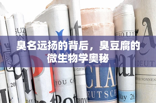 臭名远扬的背后，臭豆腐的微生物学奥秘