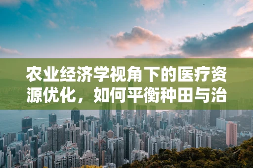 农业经济学视角下的医疗资源优化，如何平衡种田与治病？