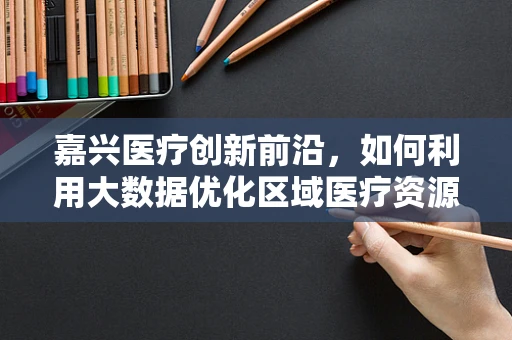 嘉兴医疗创新前沿，如何利用大数据优化区域医疗资源分配？