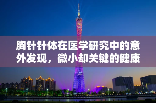 胸针针体在医学研究中的意外发现，微小却关键的健康线索？