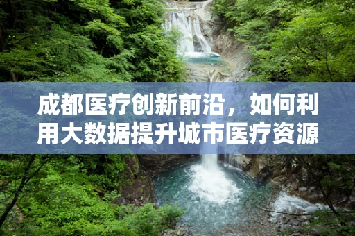 成都医疗创新前沿，如何利用大数据提升城市医疗资源分配效率？