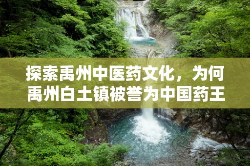 探索禹州中医药文化，为何禹州白土镇被誉为中国药王之乡？