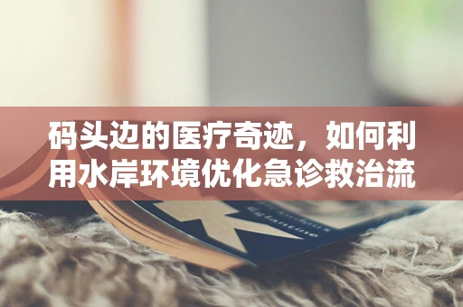 码头边的医疗奇迹，如何利用水岸环境优化急诊救治流程？