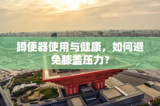 蹲便器使用与健康，如何避免膝盖压力？