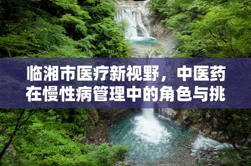 临湘市医疗新视野，中医药在慢性病管理中的角色与挑战