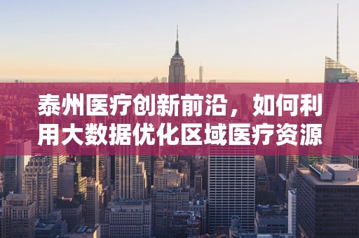 泰州医疗创新前沿，如何利用大数据优化区域医疗资源分配？