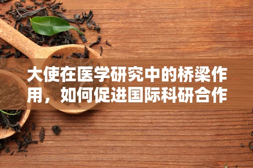 大使在医学研究中的桥梁作用，如何促进国际科研合作？