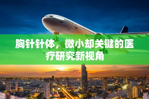 胸针针体，微小却关键的医疗研究新视角