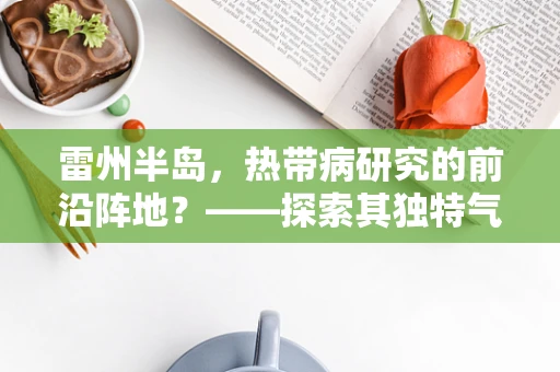 雷州半岛，热带病研究的前沿阵地？——探索其独特气候与健康挑战