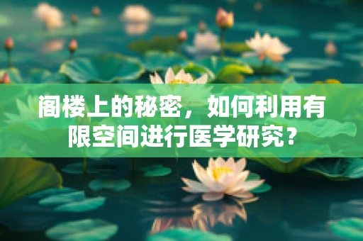 阁楼上的秘密，如何利用有限空间进行医学研究？