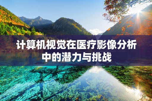 计算机视觉在医疗影像分析中的潜力与挑战