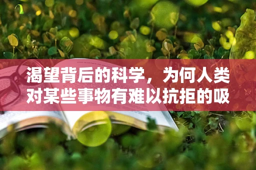 渴望背后的科学，为何人类对某些事物有难以抗拒的吸引力？