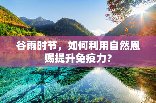 谷雨时节，如何利用自然恩赐提升免疫力？