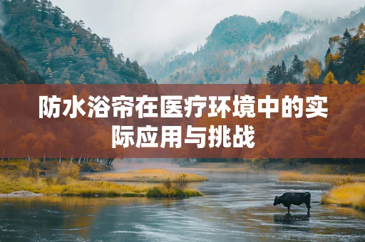 防水浴帘在医疗环境中的实际应用与挑战