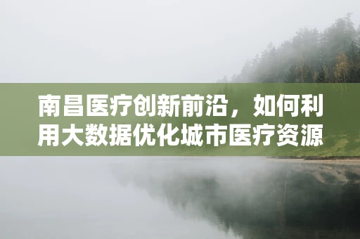 南昌医疗创新前沿，如何利用大数据优化城市医疗资源分配？