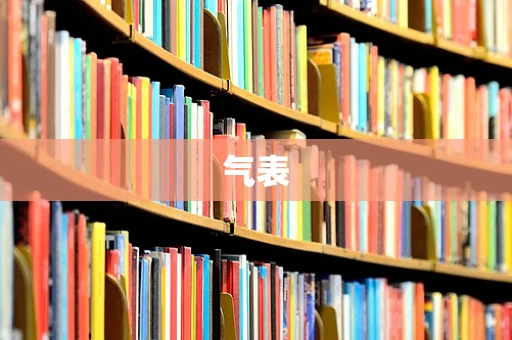 气表