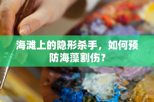 海滩上的隐形杀手，如何预防海藻割伤？