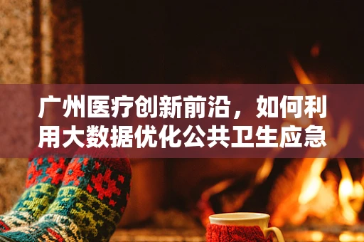 广州医疗创新前沿，如何利用大数据优化公共卫生应急响应？