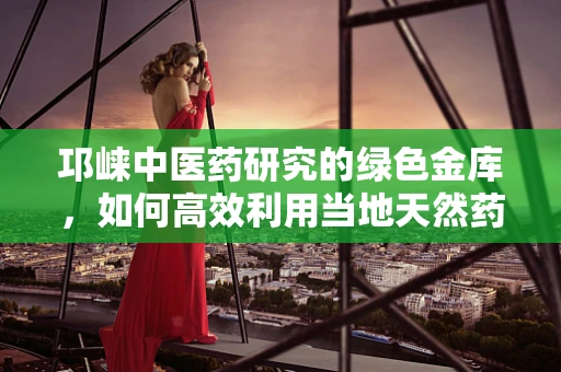 邛崃中医药研究的绿色金库，如何高效利用当地天然药材资源？
