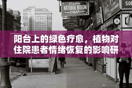 阳台上的绿色疗愈，植物对住院患者情绪恢复的影响研究