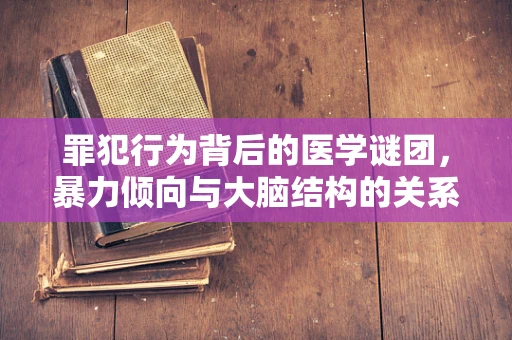 罪犯行为背后的医学谜团，暴力倾向与大脑结构的关系